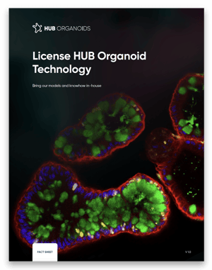 License HUB Organoid flyer screenshot