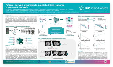 snapshot of the poster presenting predictive value of organoids in the stratification of mCRC patient