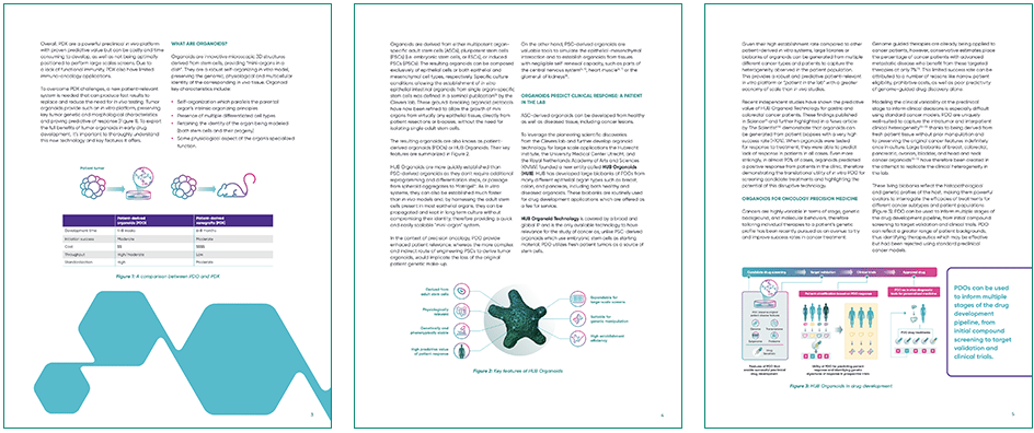 snapshot of whitepaper acceleration drug development
