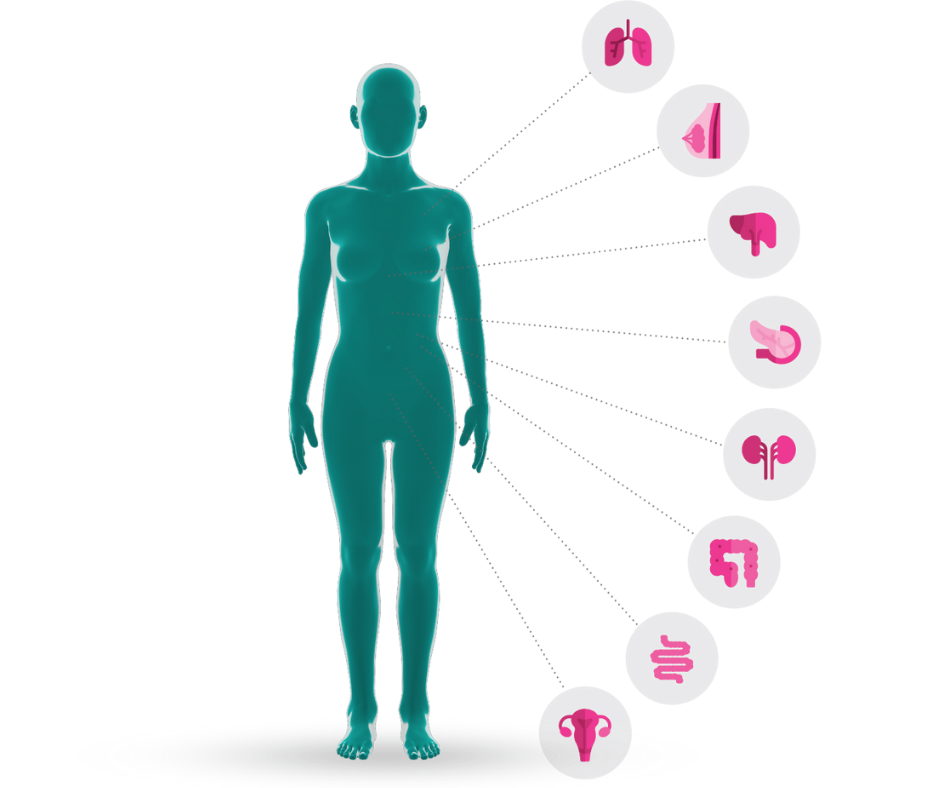 Patient-derived tissue Patient-derived tissue