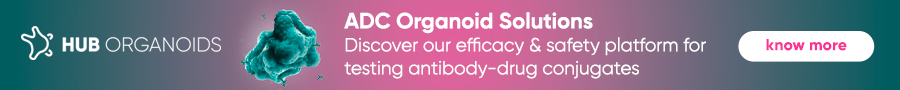 antibody-drug-cojugate-organoid-solution