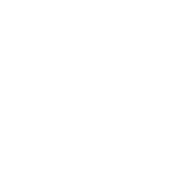 lead identification