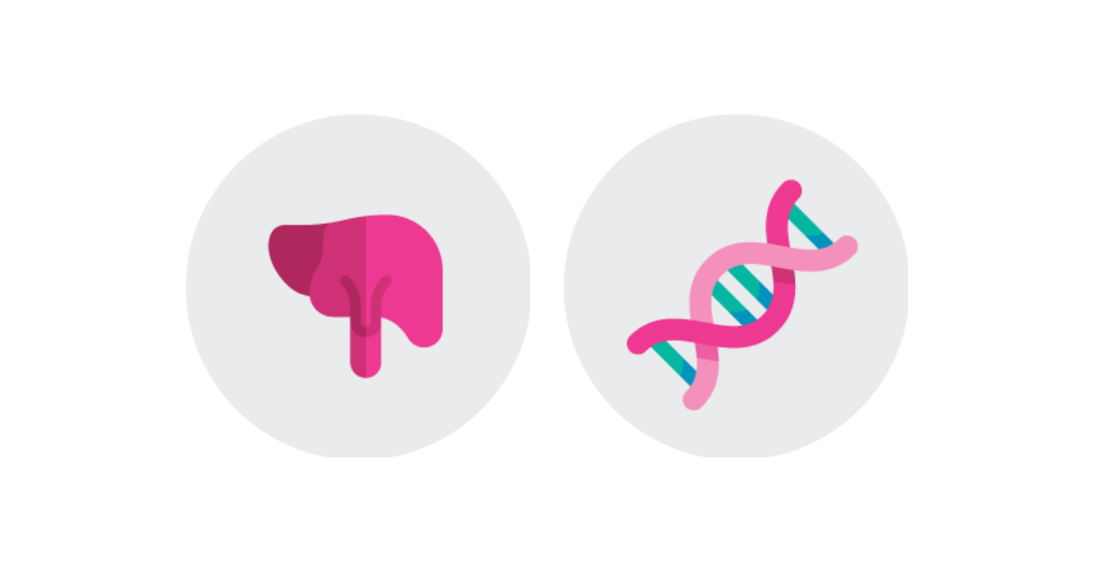 liver and DNA